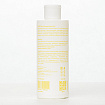 Шампунь восстанавливающий Mint500 Classic Shampoo Melon Mint 250 мл